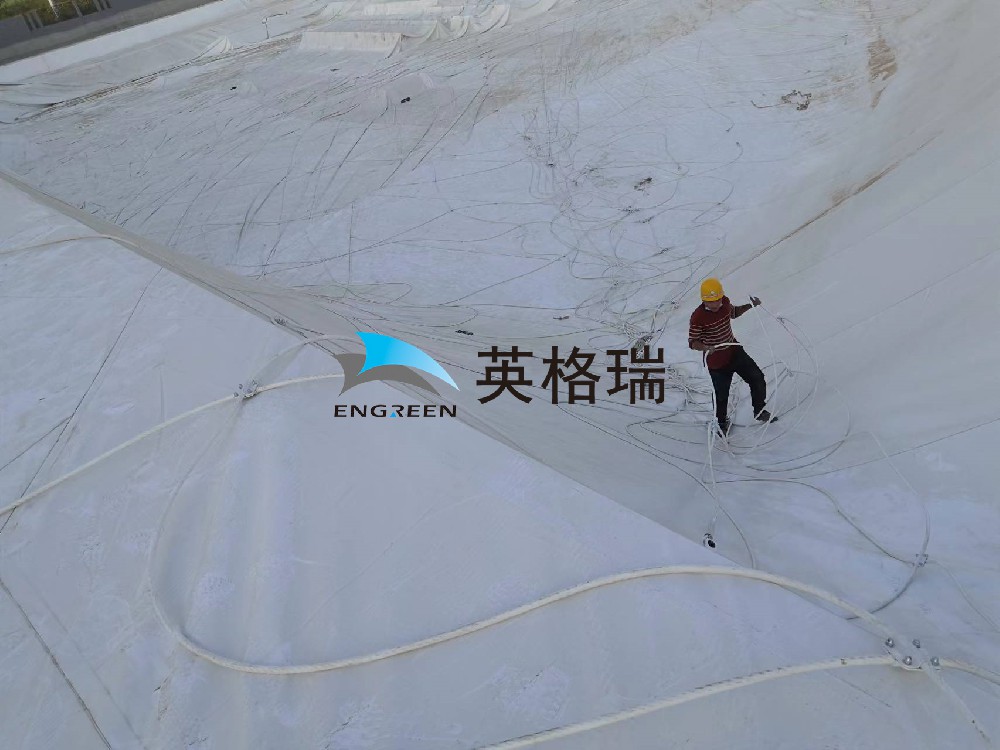 黄瓜视频网站垃圾处理厂，环保新潮流